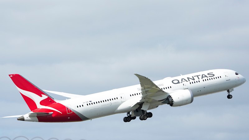 Qantas passenger taken off international flight after allegedly biting flight attendant Qantas passenger taken off international flight after allegedly biting flight attendant