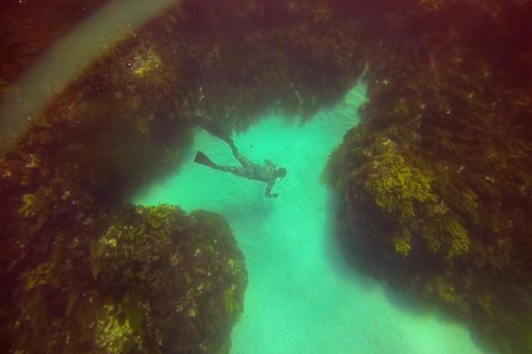 Mattaboni was also a free diver.