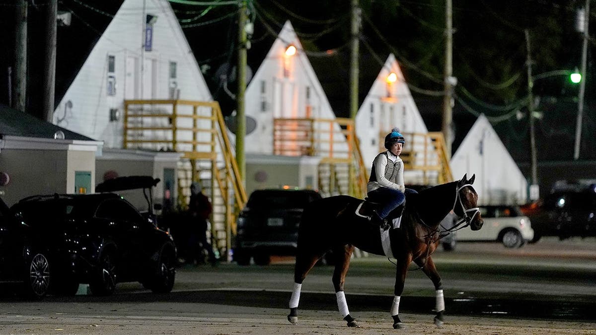 A horse heading to the track for a workout at Churchill Downs in Louisville, Ky.