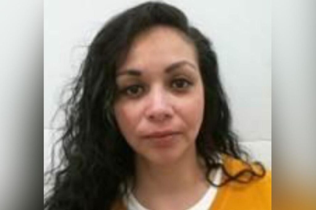 Exclusive | ICE deports deranged illegal immigrant who tried to murder her newborn son on Long Island