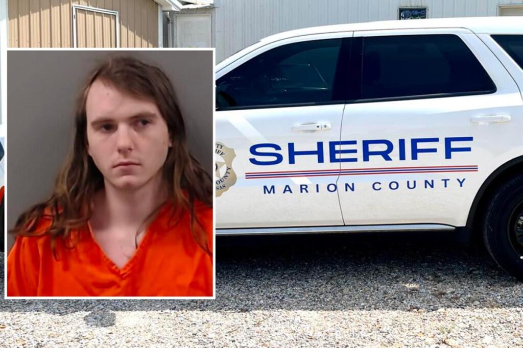 Arkansas gamer allegedly threatened to carry out mass shooting at Walmart if hantavirus outbreak caused lockdown Arkansas gamer allegedly threatened to carry out mass shooting at Walmart if hantavirus outbreak caused lockdown