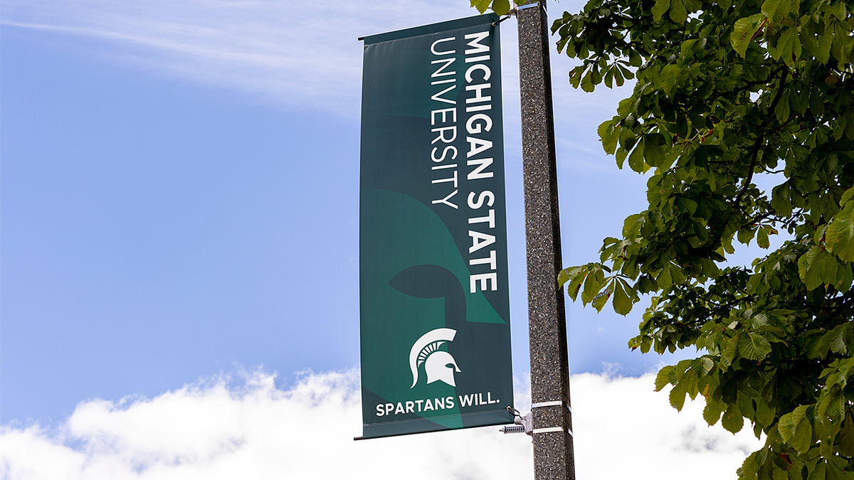 MSU flag