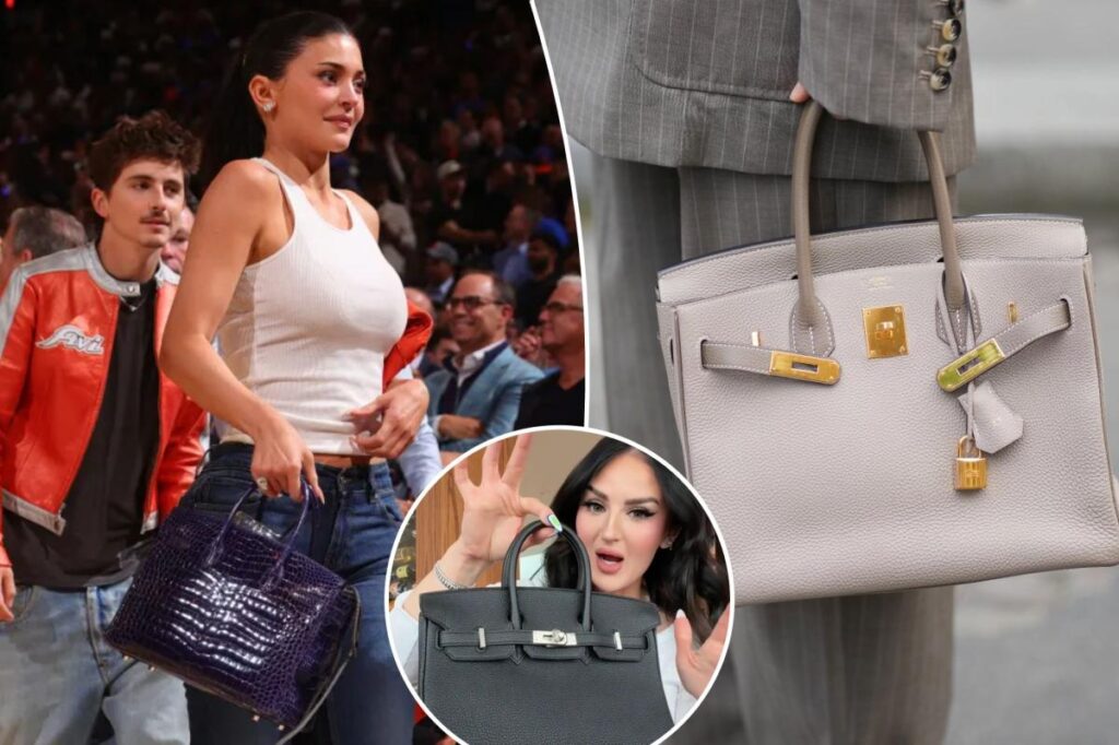 Fashionistas can rent a once-dare-to-dream Hermès Birkin bag — but critics wonder if the business model is a scheme Fashionistas can rent a once-dare-to-dream Hermès Birkin bag — but critics wonder if the business model is a scheme