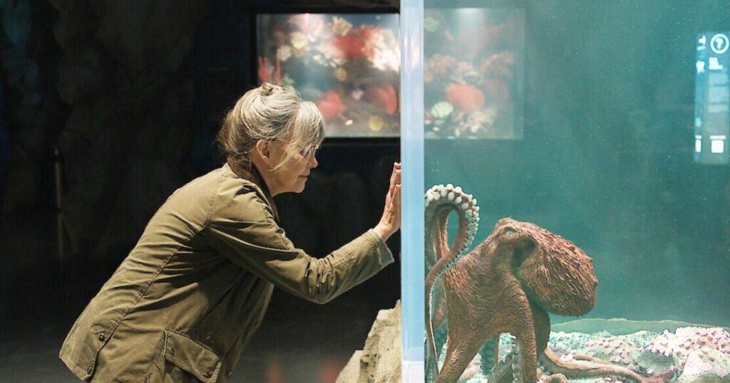 47 Best Movies on Netflix Right Now (May 2026): ‘Remarkably Bright Creatures’ and More