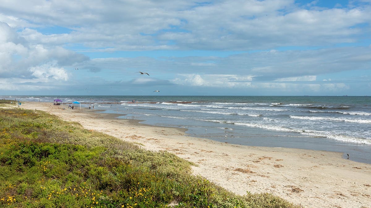 The beach on Galveston Island