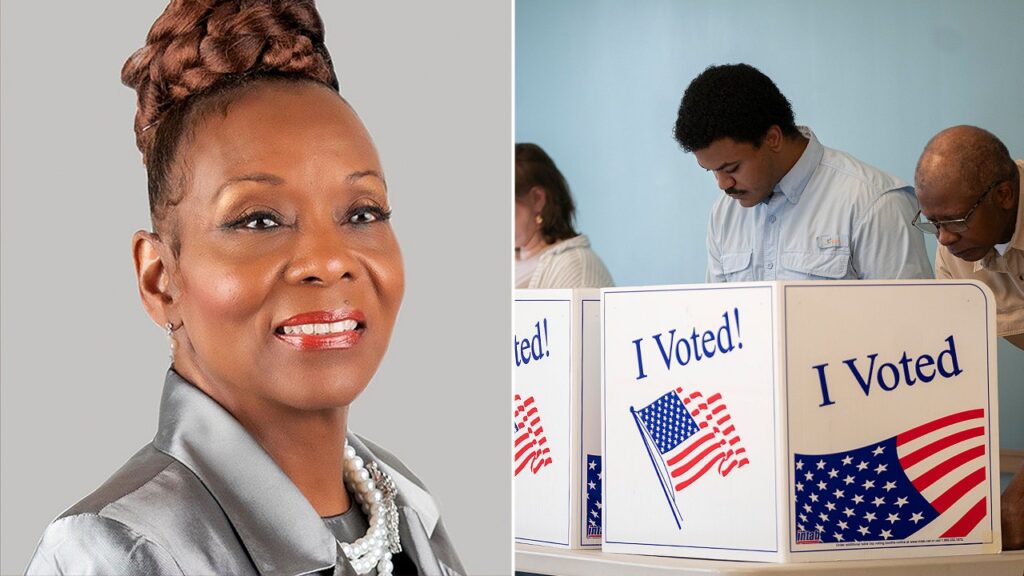 Dead voter allegation fuels concerns about voting safeguards as blue state official turns herself in Dead voter allegation fuels concerns about voting safeguards as blue state official turns herself in