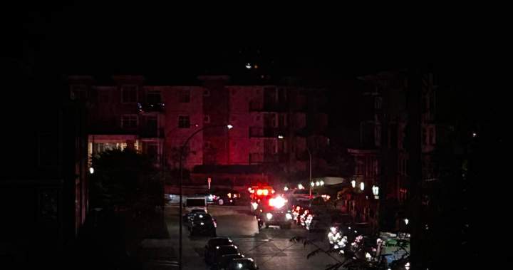 Man dead, police investigating after late-night Langley, B.C. shooting Man dead, police investigating after late-night Langley, B.C. shooting