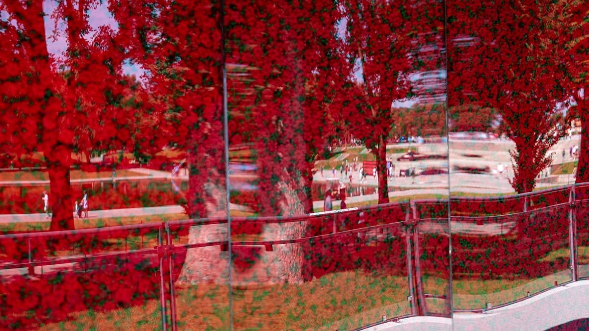 A wall of more than 600000 red poppies displayed along the National Mall in Washington, D.C.