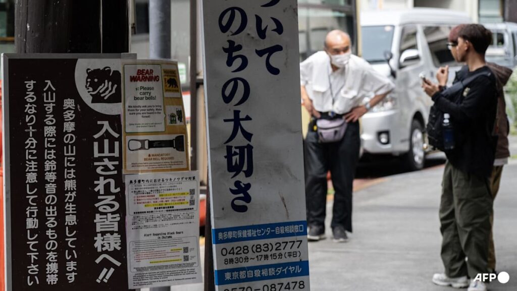 Japan police investigate another suspected fatal bear attack