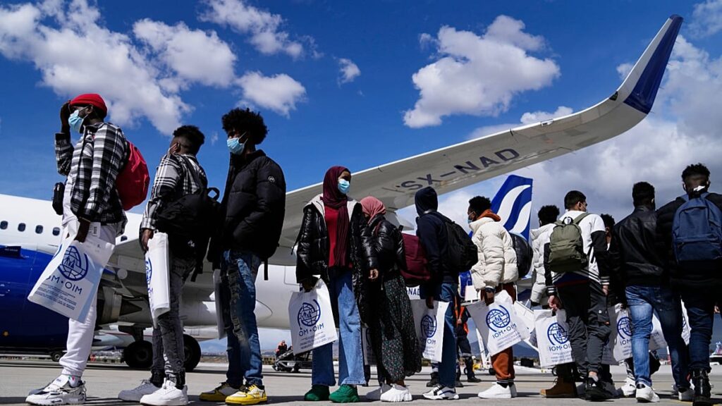 Why Europe’s labour needs clash with its migration policy Why Europe’s labour needs clash with its migration policy