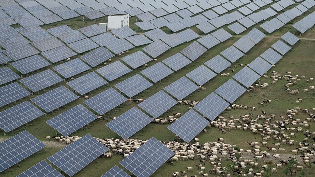 Massive China subsidies distorting markets, OECD says