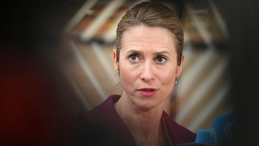 Backlash against Kallas reveals hard truths of EU foreign policy Backlash against Kallas reveals hard truths of EU foreign policy