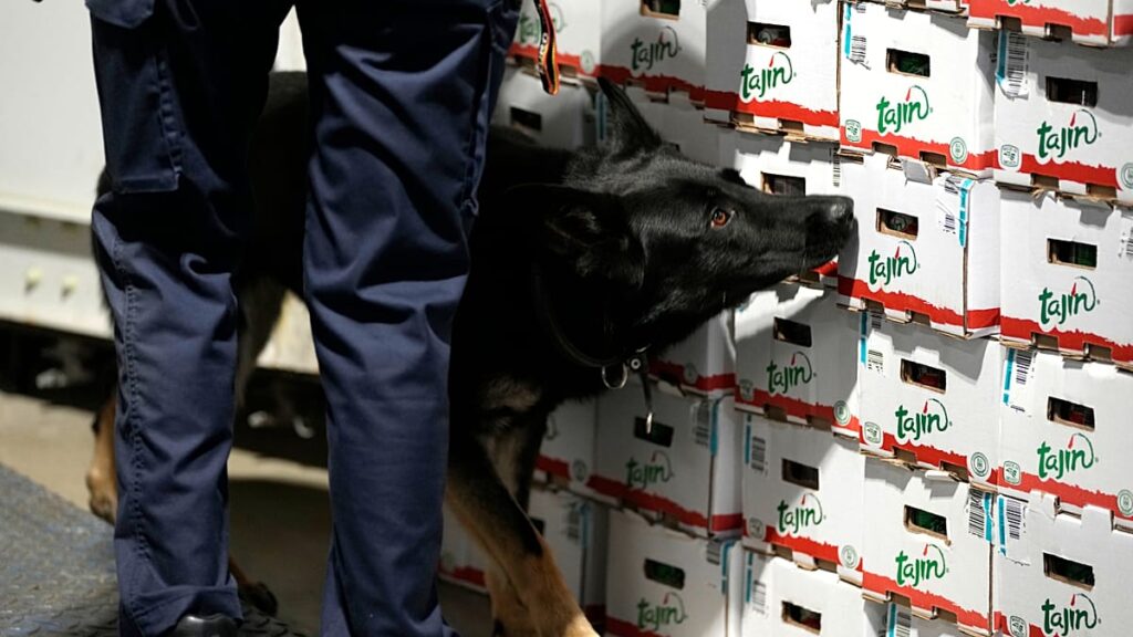 EU warns of rising risks as Europe drug market grows complex EU warns of rising risks as Europe drug market grows complex