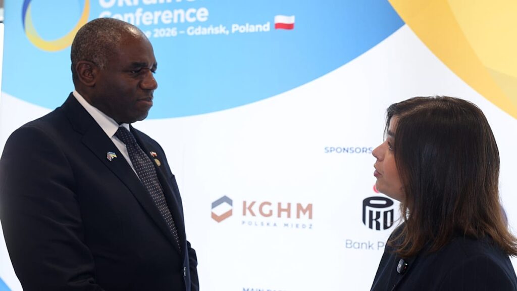 UK foreign policy will not change despite government change – Lammy