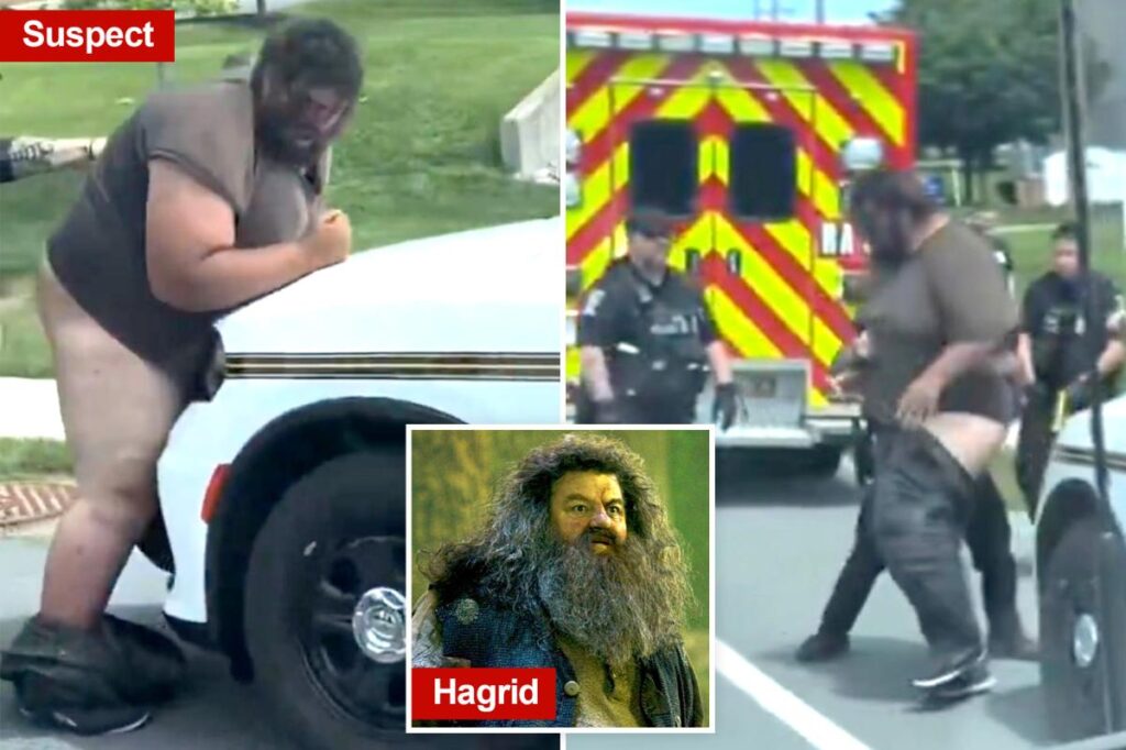 Bizarre moment Maryland police arrest giant suspect as his pants and underwear fall down in viral video Bizarre moment Maryland police arrest giant suspect as his pants and underwear fall down in viral video