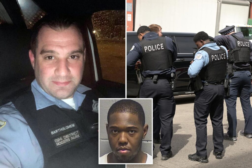 Chicago cop killing suspect calls for comfort for mom after entering plea as slain officer’s family watches