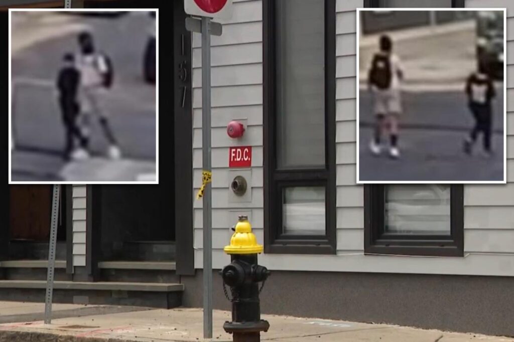 Two children robbed at gunpoint while running lemonade stand in Boston by juvenile suspects: police Two children robbed at gunpoint while running lemonade stand in Boston by juvenile suspects: police
