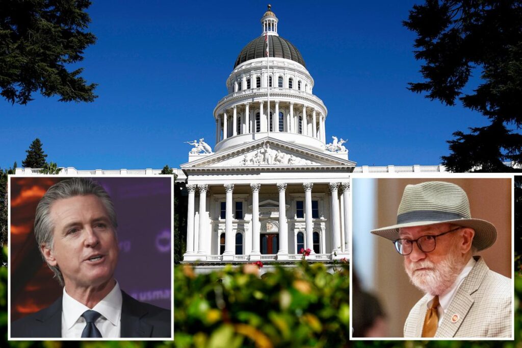 CA Dems could stick families with higher insurance costs — and new tax on software downloads CA Dems could stick families with higher insurance costs — and new tax on software downloads