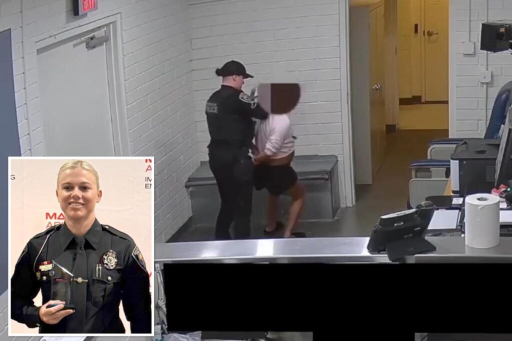 Disturbing footage shows Arizona cop pummeling pregnant woman in handcuffs