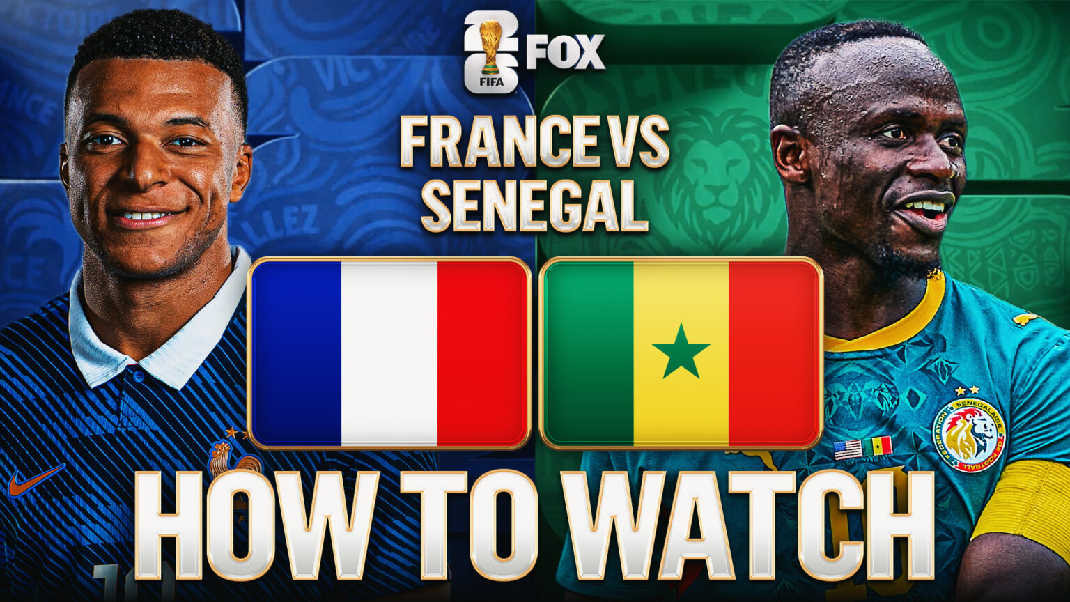 France vs. Senegal: How to Watch, TV Channel, Live Stream