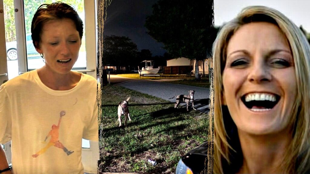 Florida woman mauled to death by dogs that had allegedly terrorized neighborhood, owner charged in killing
