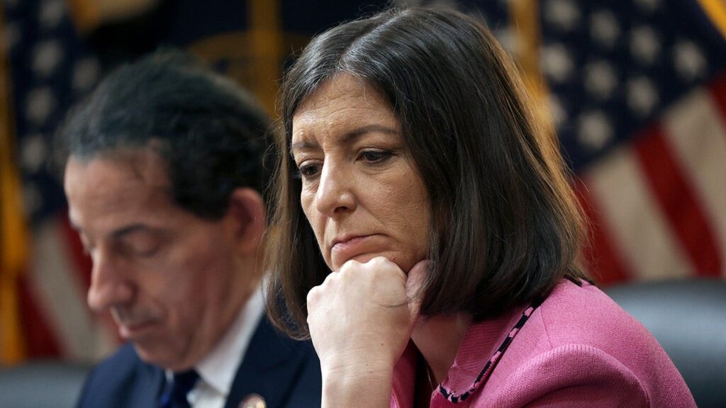 Ex-House Dem who ripped congressional stock trading ban as ‘bull—-‘ changes her tune in comeback bid
