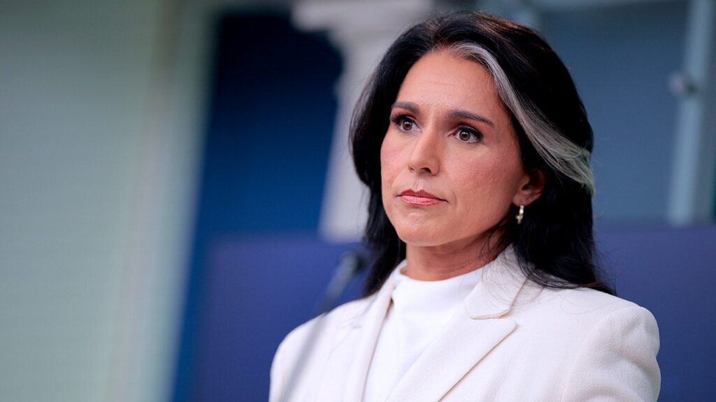 Gabbard spotlights Fauci, COVID-origin questions in final act as intelligence chief amid succession fight