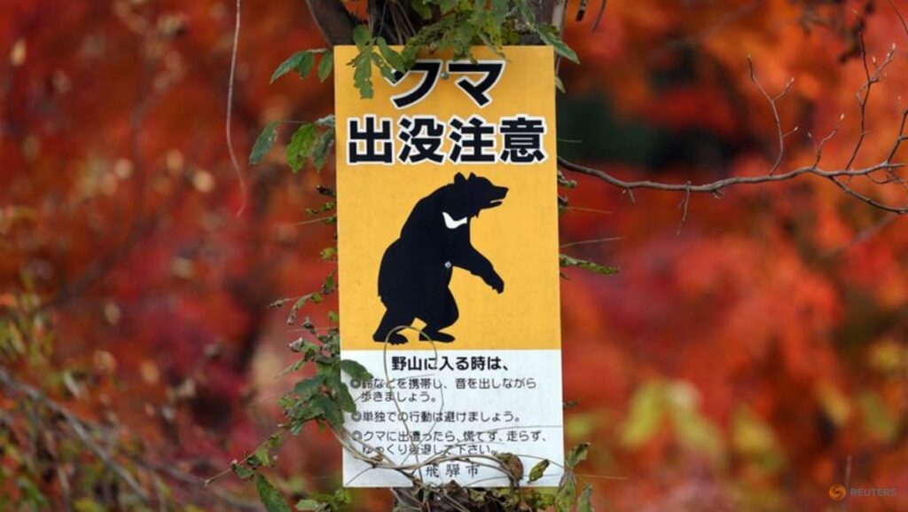 Mass school closures in Japan city as bear roams streets Mass school closures in Japan city as bear roams streets