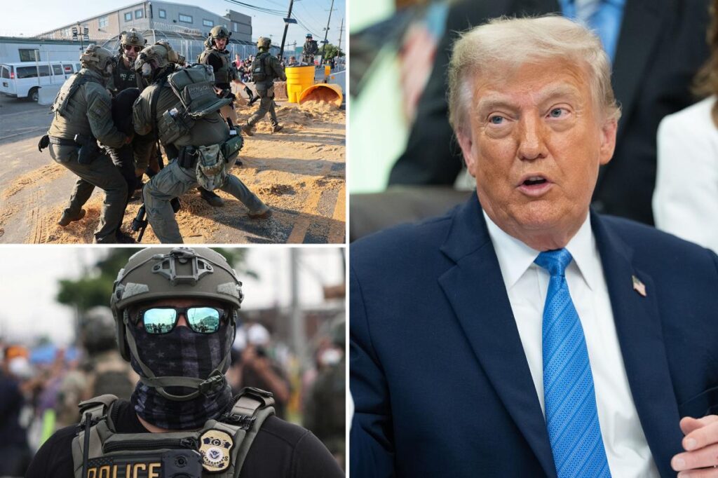 Trump asks Americans to vote on new acronym in ICE’s rebranding effort