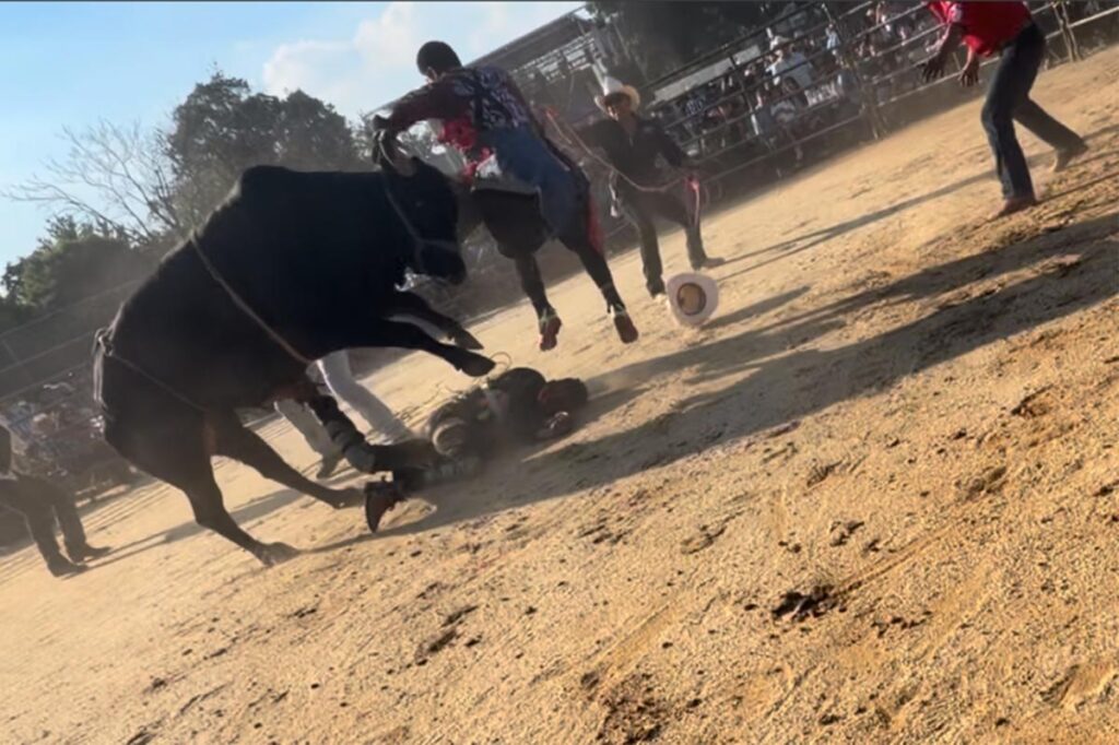 Bronx rodeo where rider was hurled from bull and trampled on didn’t have permit: report