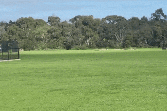 Police conducted a dynamite detonation in Northcote on Sunday.