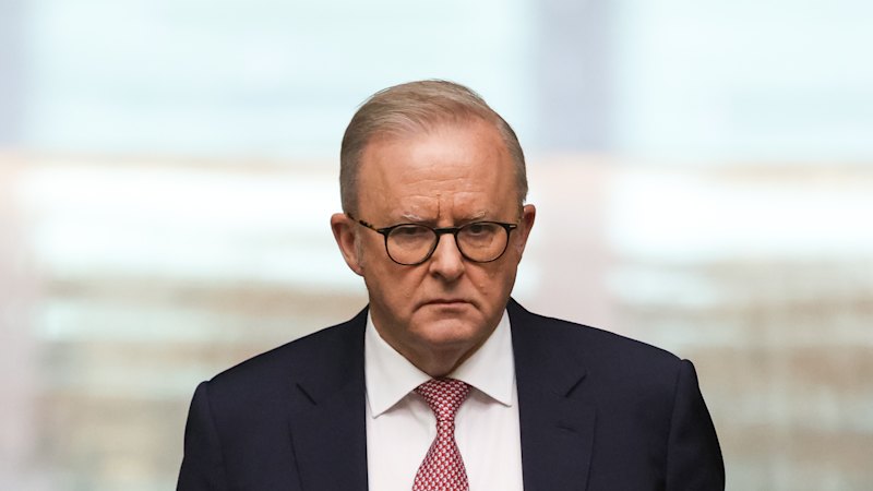 Albanese vows to cut migration as One Nation leads in third poll; Xi Jinping lands in North Korea for meeting with Kim Jong-un Albanese vows to cut migration as One Nation leads in third poll; Xi Jinping lands in North Korea for meeting with Kim Jong-un