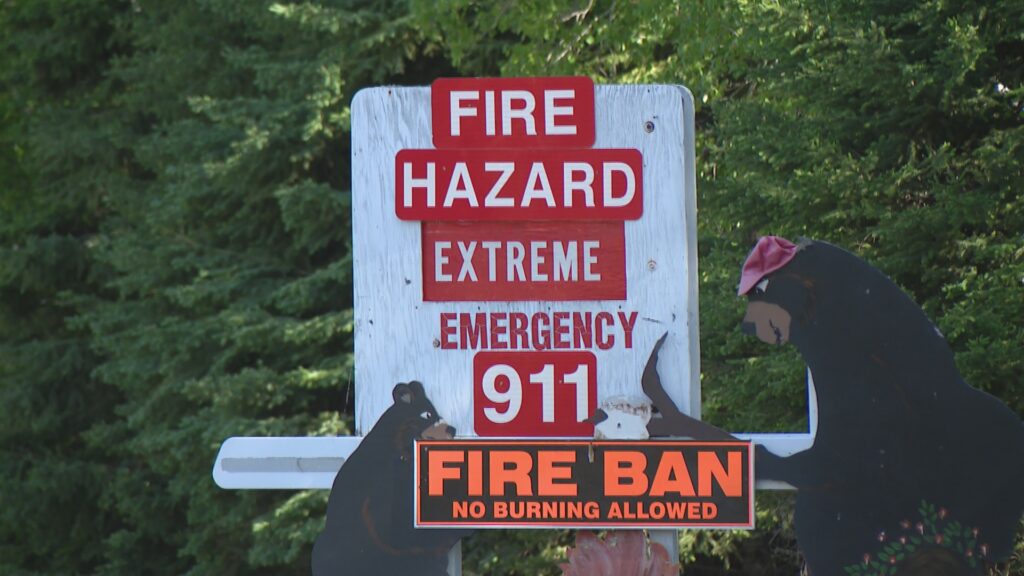 ‘Drop in the bucket’: Sask. wildfire protection grant not enough, says fire chief