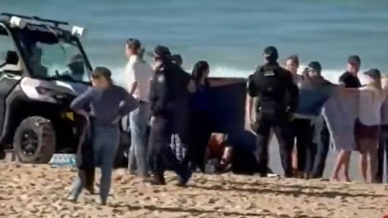 Coogee Beach shark attack: Woman in critical condition Coogee Beach shark attack: Woman in critical condition