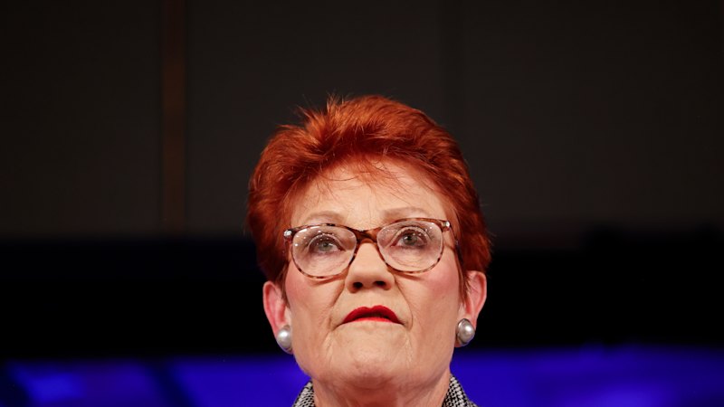 Hanson’s ambitions revolve around xenophobia and hate, unfortunately Hanson’s ambitions revolve around xenophobia and hate, unfortunately