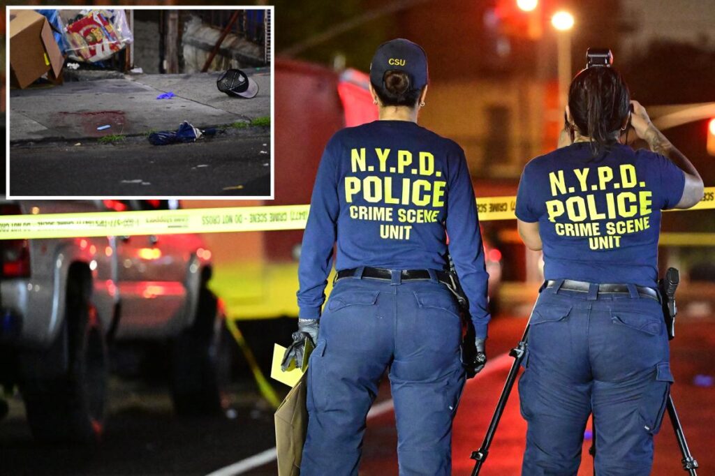 21-year-old fatally shot in the head on NYC street 21-year-old fatally shot in the head on NYC street