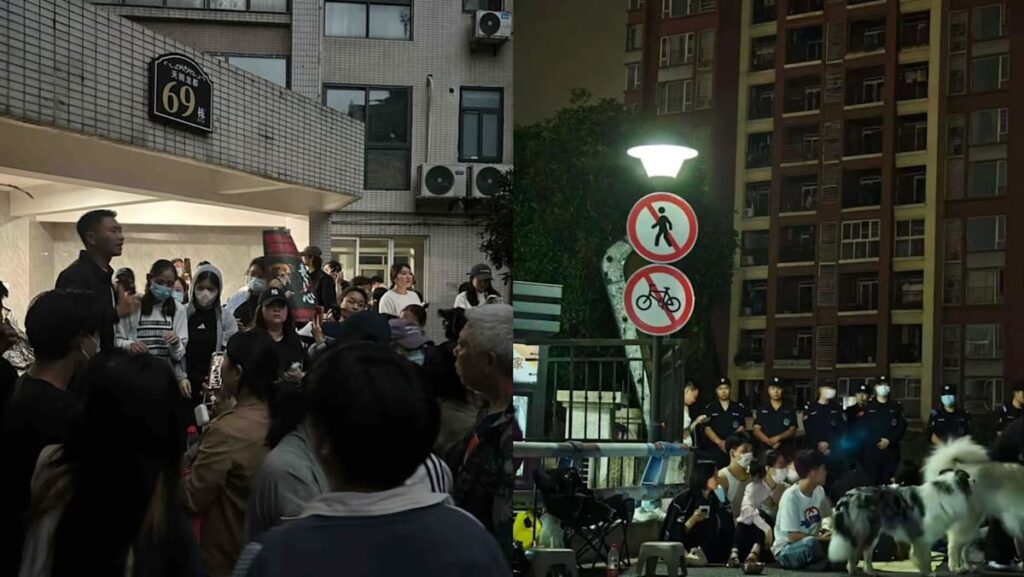 Rare protests erupt in China after dog abuse videos spark online anger Rare protests erupt in China after dog abuse videos spark online anger