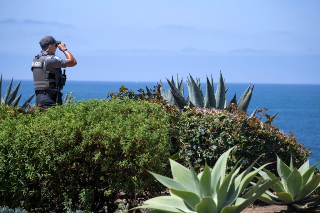 Heartbreaking ending as body of missing 5-year-old girl found after she was swept away in Laguna Beach
