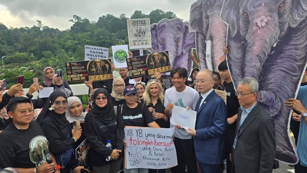 Malaysia’s anti-graft agency launches probe into elephants’ transfer to Japan zoo Malaysia’s anti-graft agency launches probe into elephants’ transfer to Japan zoo