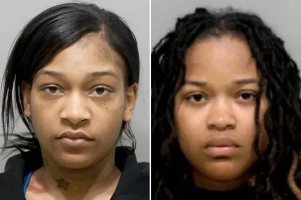 Sisters, including one 9 months pregnant, allegedly stabbed and hurled hot oil at Detroit restaurant worker over wrong order Sisters, including one 9 months pregnant, allegedly stabbed and hurled hot oil at Detroit restaurant worker over wrong order