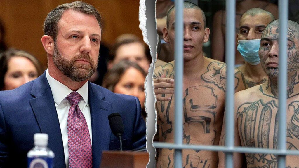 Sex criminals, gang members abused child immigration program to enter US, DHS reveals Sex criminals, gang members abused child immigration program to enter US, DHS reveals