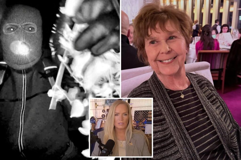 Former FBI agent claims investigators are closing in on ‘porch guy’ in Nancy Guthrie case — leaving Megyn Kelly stunned