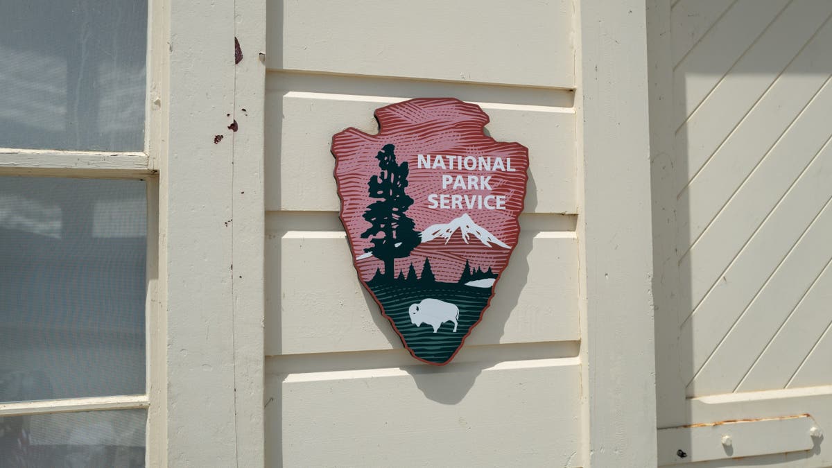 Close-up of carved National Park Service logo on a wooden surface.
