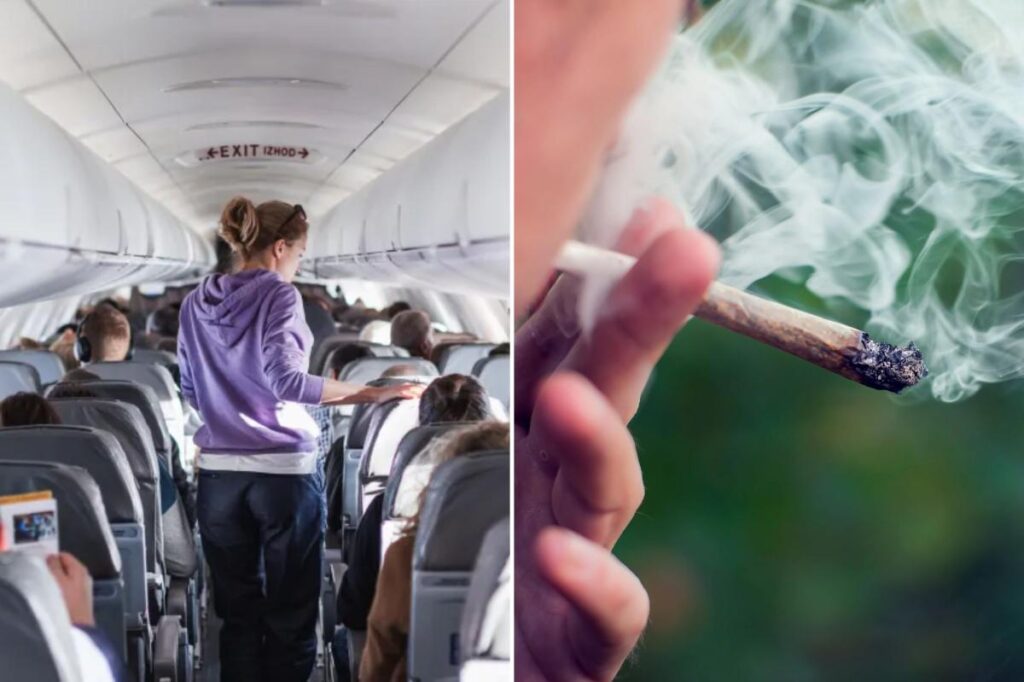 Flying with cannabis? TSA’s new guidance comes with a major health warning