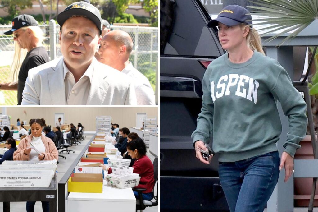 Spencer Pratt sums up LA’s glacial vote count in a single image Spencer Pratt sums up LA’s glacial vote count in a single image