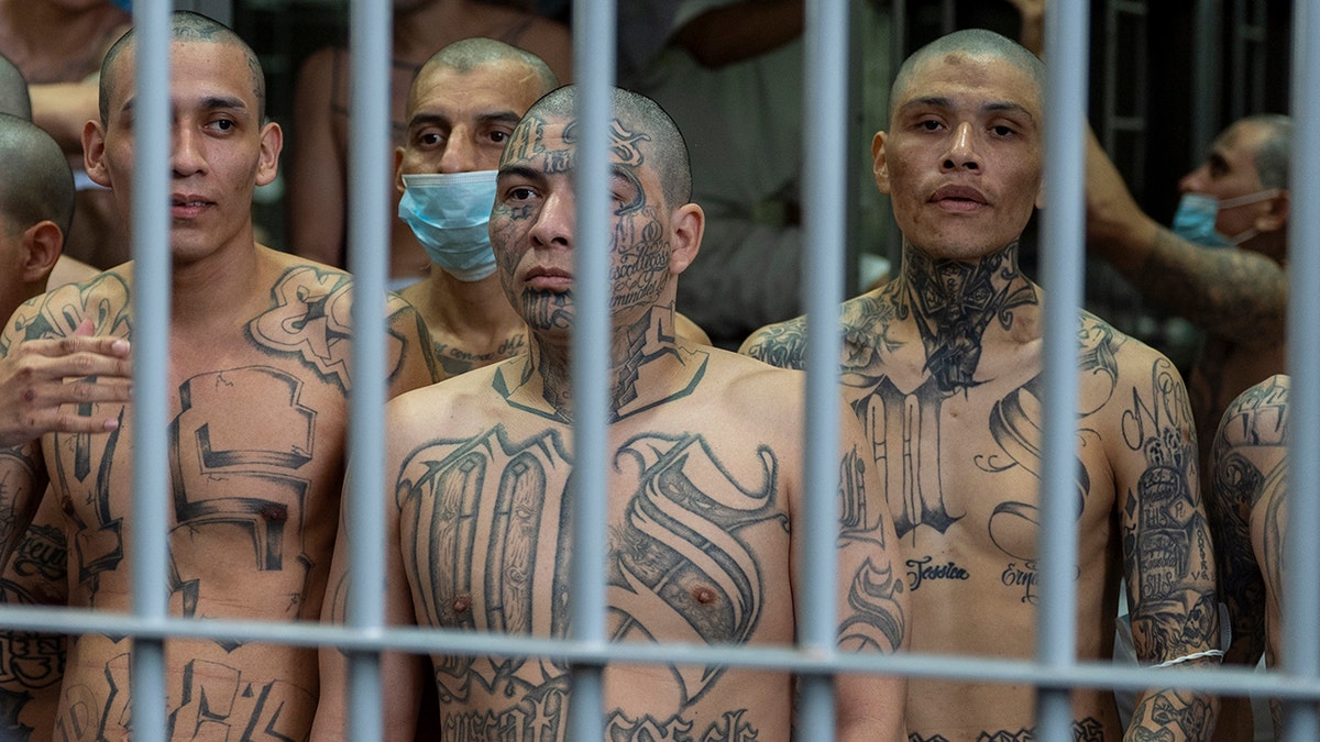 Prisoners with MS-13 gang tattoos looking out of their cell in Tecoluca prison