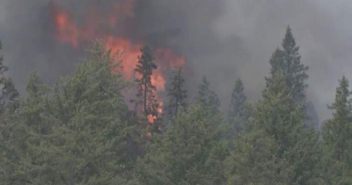 Wildfire fighting continues in Saskatchewan as blaze near Prince Albert slows Wildfire fighting continues in Saskatchewan as blaze near Prince Albert slows