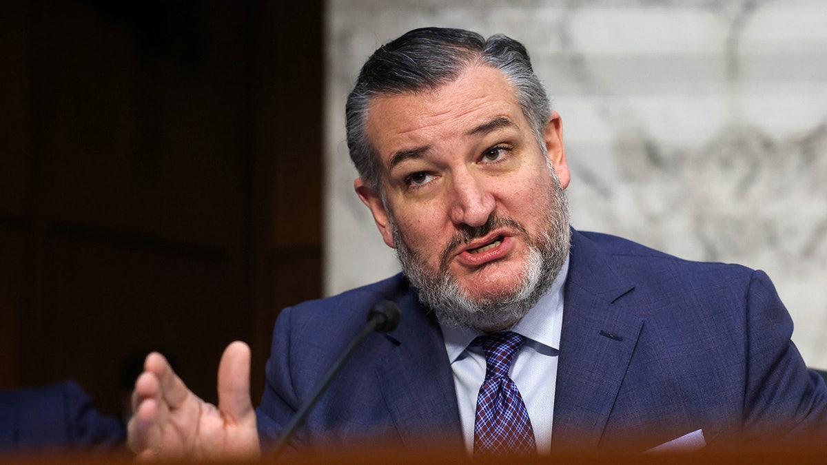 U.S. Sen. Ted Cruz speaking as Kash Patel testifies before Senate Judiciary Committee in Washington