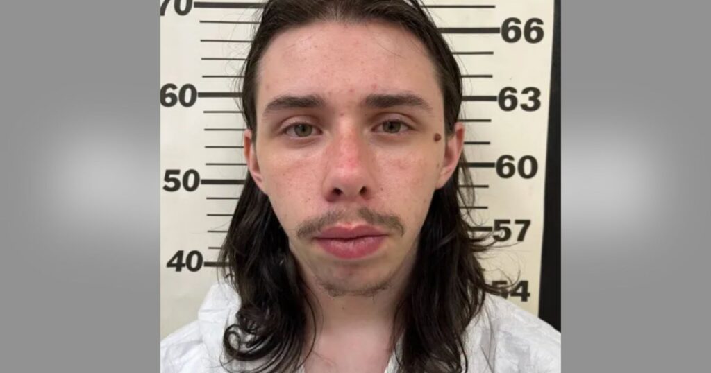 Teenager Arrested for Allegedly Killing His 21-Year-Old Sister by Shooting Her in the Head Teenager Arrested for Allegedly Killing His 21-Year-Old Sister by Shooting Her in the Head
