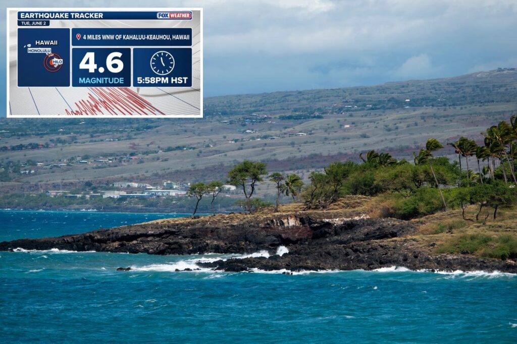 Magnitude-4.6 earthquake strikes off coast of Hawaii’s Big Island